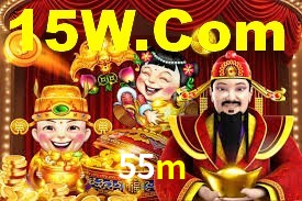 Premium Interface 55m