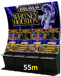 Programa VIP 55m